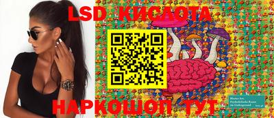 шишки Бузулук